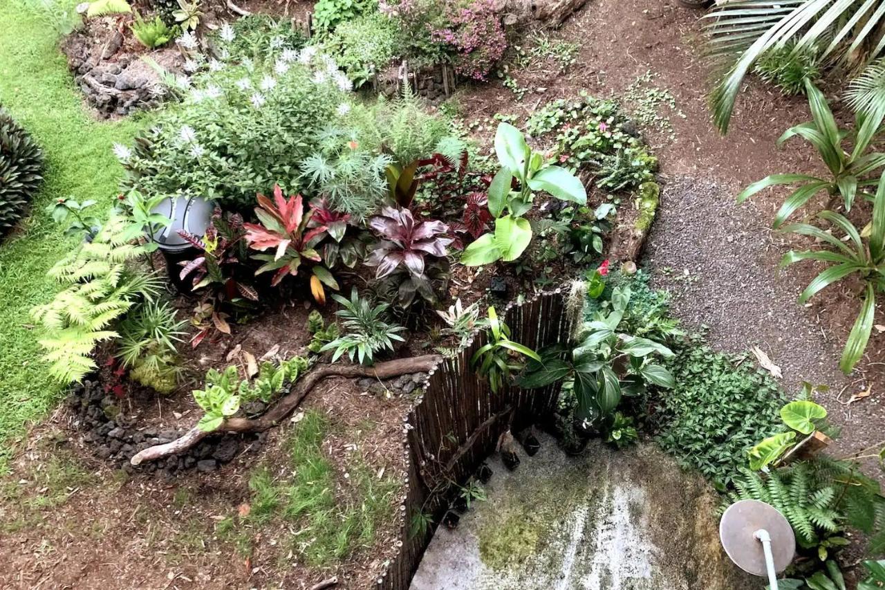 Phoenix Garden Pahoa Exterior photo